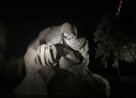 Вечерняя экскурсия по Мамаеву Кургану
