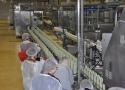 Экскурсионный тур на уникальное волгоградское производство «Сады Придонья»